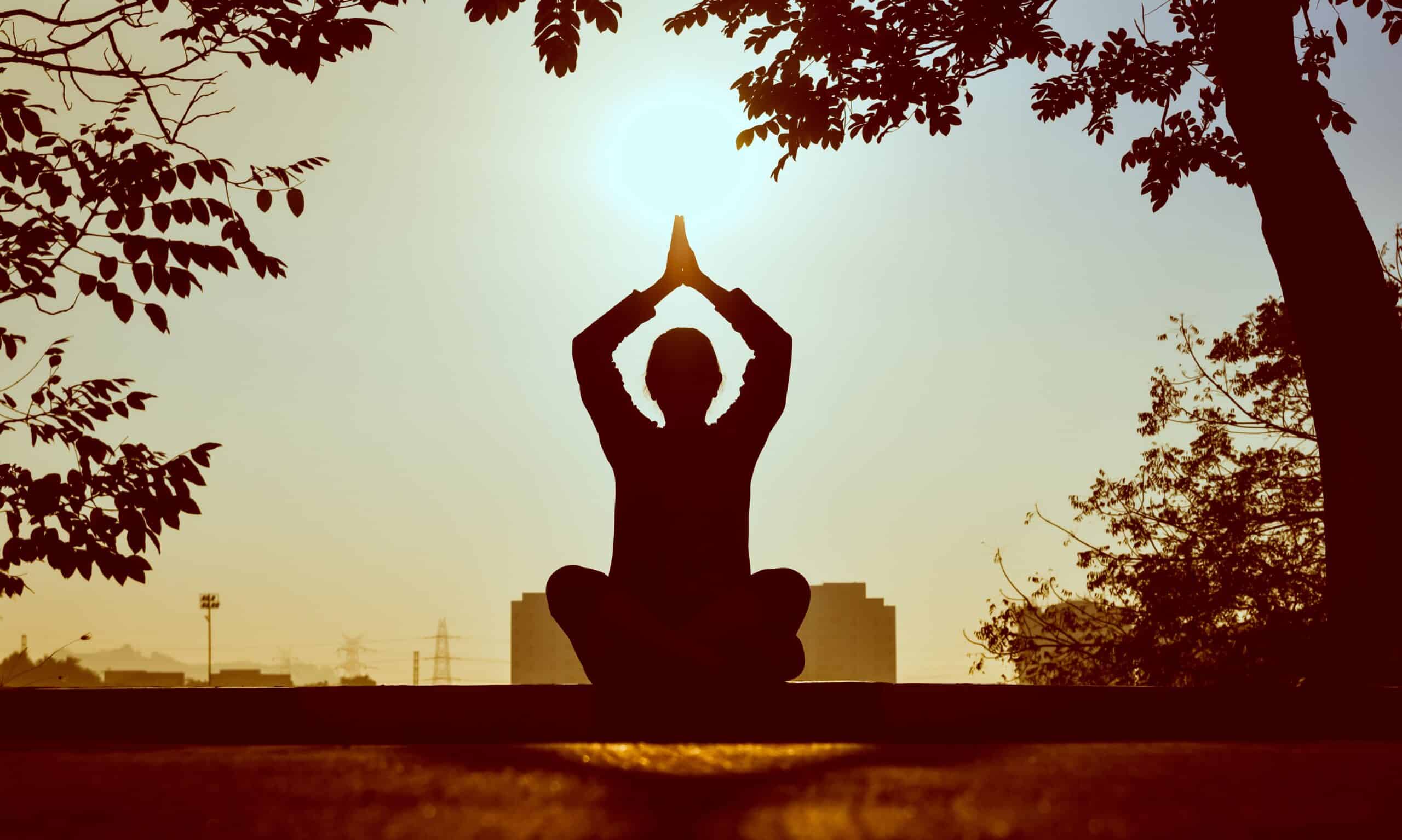 Carol Wilson Meditation: Unlock the Power of Your Mind